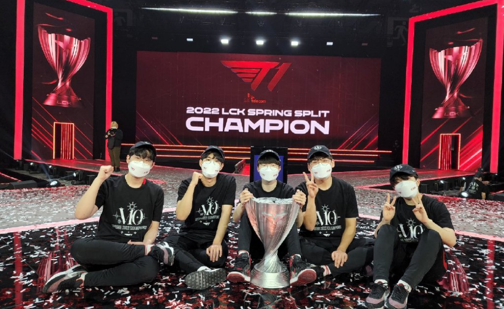 引发了热烈 引发了热烈