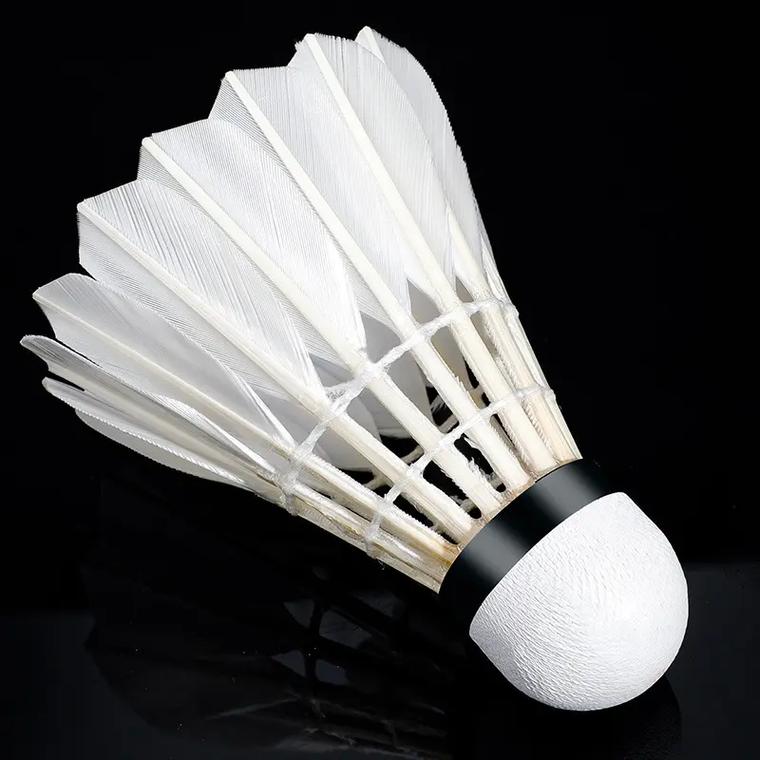 “星乡村”“星农人”培育工作正式启动.